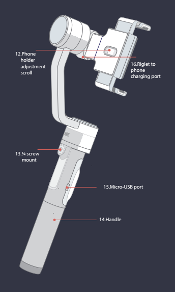 Rear structure of Rigiet Stabilizer